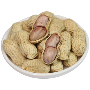 25年新货正宗龙岩花生蒜香咸干五香盐水白晒湿烤水煮带壳炒货零食