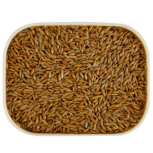 双色麦草籽鹦鹉鸟粮自配白玉玄凤牡丹虎皮训练奖励小零食专用饲料