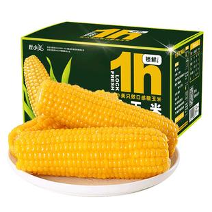 灶小美新玉米新鲜黄糯玉米棒真空包装袋非即食内蒙甜糯黏苞米玉米