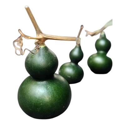 葫芦特大巨型文玩种子籽