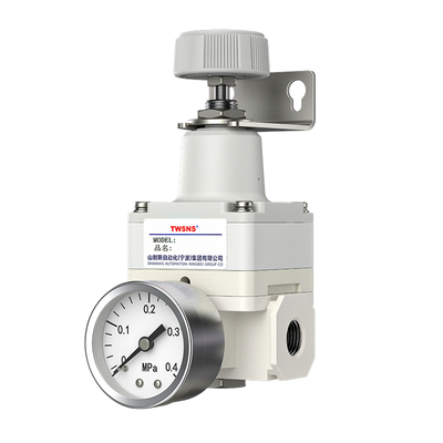 TWSNS精密调压阀减压阀可调