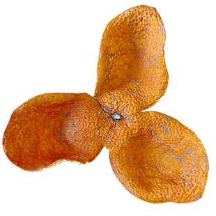 新会东甲陈皮2025年大红皮圈枝茶枝柑陈皮干泡水茶新货官方旗舰店