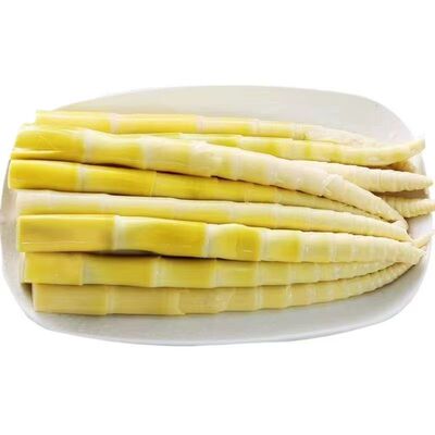 水煮清汁笋新鲜竹笋笋尖嫩嫩竹笋清水凉拌火锅串串食材批泡椒山椒