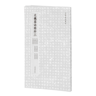 北朝墓志精粹三 元忠墓志元进墓志元苌墓志元瓒墓志元隐墓志元渊墓志元昂墓志上海书画出版社 书法篆刻毛笔字临摹名家高清字帖