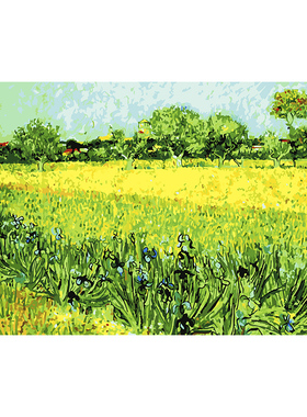 数字油画diy手绘填充手工手绘画画填色画涂色油彩画 鸢尾花与麦田
