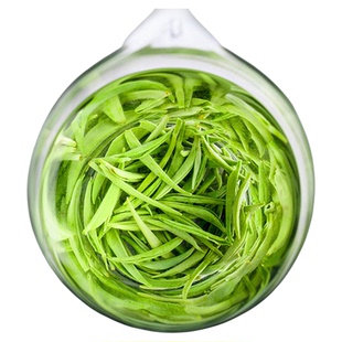 毛尖绿茶信阳毛尖2025新茶雨前高山云雾嫩芽浓香耐泡型手工春茶叶