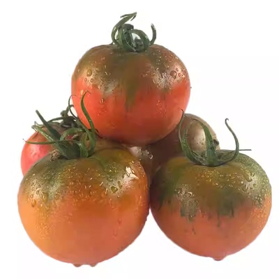 正宗铁皮草莓柿子新鲜当季西红柿生吃水果东北番茄酸甜口顺丰包邮