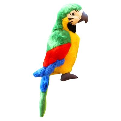 仿真金刚鹦鹉教材陪睡毛绒玩具