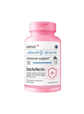 新西兰进口VetWiz0糖乳铁蛋白宠物狗狗专用调节提升身体自护力