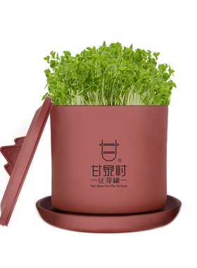 食品级材质四季可用紫砂豆芽罐