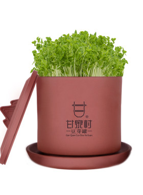 食品级材质四季可用紫砂豆芽罐