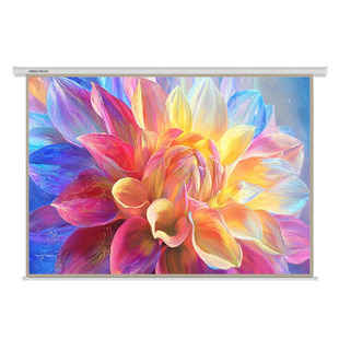 坚果投影100英寸巨幕投影仪幕布家用电动遥控幕布超广观影视角【适用激光投影和其他投影品牌】