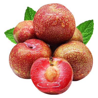 现货钱排三华李送辣椒盐