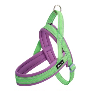 狗狗胸背带牵引马鞍式胸背防挣脱宠物防爆冲胸背大中小型犬柴犬