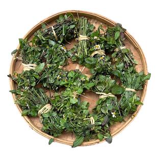 新鲜晒干鬼针草盲肠草野生现采晒三叶鬼针草农家整棵新货中草药