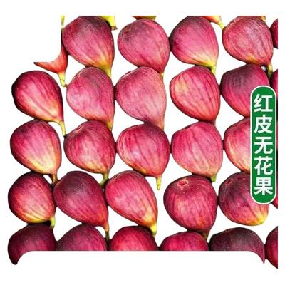 云南红皮无花果软糯蜜甜新鲜现摘