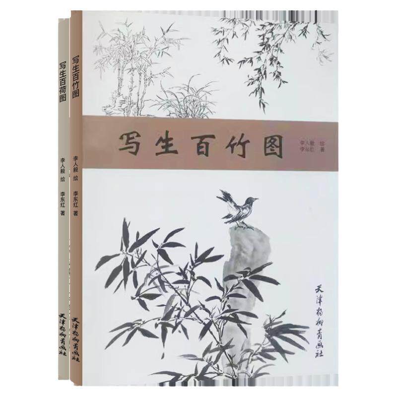 写生百竹图百荷 写生线描白描竹子 荷花临摹底稿 国画初学者基础入门教程技法 素描白描工笔竹荷图临摹素材写生技法艺术赏析