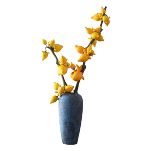 五代同堂黄金果鲜切枝云南直发福禄果小猪佩奇花期超长高级年宵花