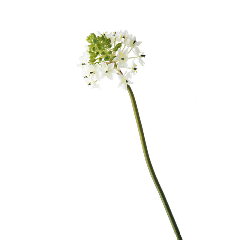 天鹅绒绿石竹高奢仿真花伯利恒之星别墅样板间家居花艺摆设绿毛球