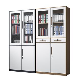 铁皮文件柜办公窄边资料柜带锁钢制隔板分层财务凭证套色储物柜