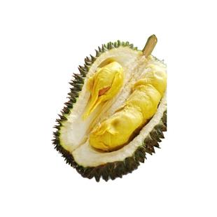 北马榴【树熟液氮】小品种槟城D163葫芦榴莲锁鲜当季新果老饕最爱