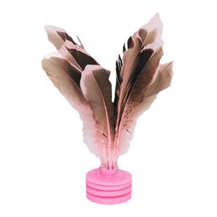 鸡毛毽子儿童小学生运动专用幼儿园比赛成人健身毽球踢毽键子耐踢