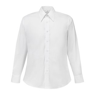 平圆方中通勤白衬衫男长袖衬衣长尖领基础百搭免烫抗皱商务正装