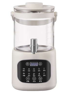 跨境出口110V电压养生壶花茶壶大容量煮茶器药膳烧水壶恒温壶3L