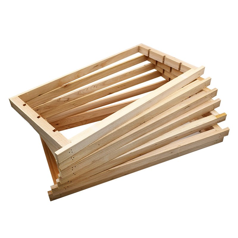 爆意蜂免移虫育王器套装取浆器 育王框育王台控王罩养蜂工具