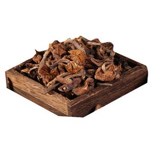 小鸡炖蘑菇东北土特产特级榛蘑干