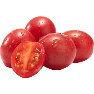 红美玉圣女果种子小番茄苗秧蔬菜西红柿种籽孑盆栽菜苗大全 果苗