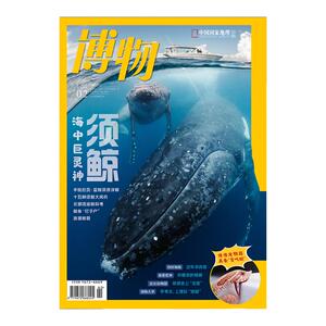 博物(2024.第1期-12期)