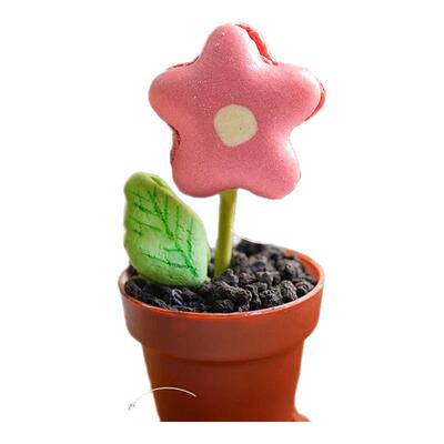 马卡龙饼干创意盆栽蛋糕盒慕斯杯