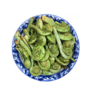 黄瓜香山野菜 野鸡膀子 广东菜 勾勾菜 荚果蕨 凤翅承德东北特产