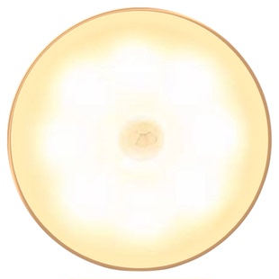 人体感应灯夜间自动亮灯家用走廊过道厕所智能声控充电小夜灯床头