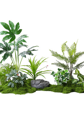 仿真植物苔藓造景花槽组合隔断