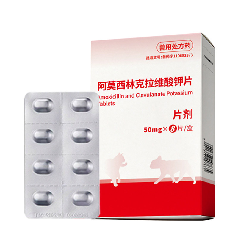 阿莫西林克拉维酸钾片咳嗽猫鼻支
