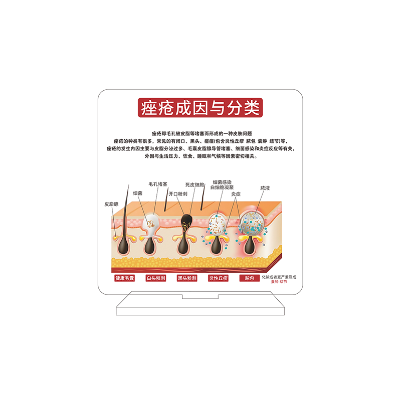 医美容院水光展示架摆台展示牌亚克力水光架办公室氛围摆件广告牌