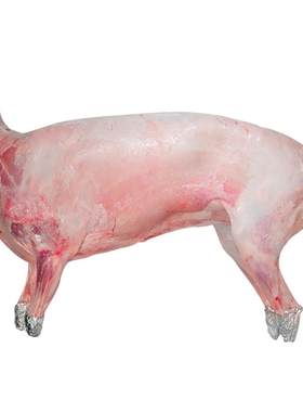羊肉新鲜全羊20斤羊腿羊排