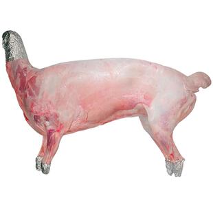 羊肉新鲜全羊整只20斤冷冻手抓羊肉羊排羊腿火锅烧烤食材烤肉礼盒