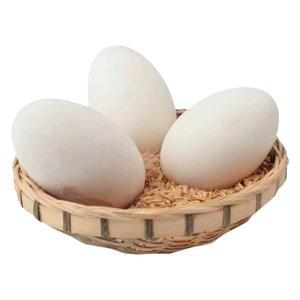 破损包赔农家散养土鹅蛋12枚大新鲜现捡现发健康喂养孕妇宝宝辅食