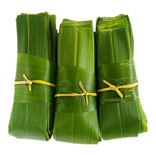粽叶新鲜免邮大粽子叶野生纯天然芦苇农家现摘箬芒竹叶特级100片
