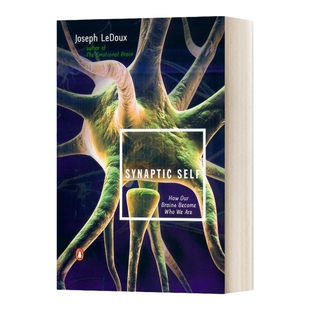 突触自我 我们的大脑如何变成我们自己 英文原版 Synaptic Self How Our Brains Become Who We Are 英文版 进口英语原版书籍