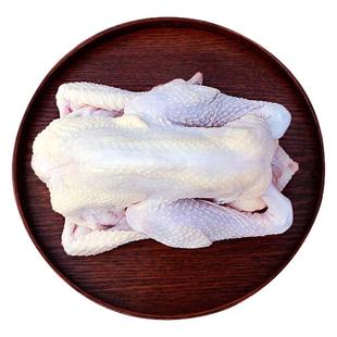 天农广东清远鸡皇后鸡整只生鲜1KG*2农家散养走地鸡炖煲汤老母鸡