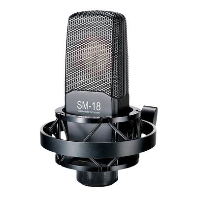 得胜电容麦克风K歌直播话筒