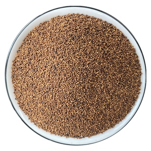 深山菟丝子无硫正品旗舰店菟丝子五味子沙苑子枸杞男士泡茶煮水