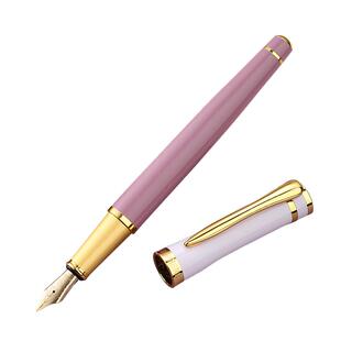 英雄牌钢笔官方学生专用练字成人女士高档精致美工弯头弯尖书法女生款礼盒小学生三四年级刻字送礼品物旗舰店