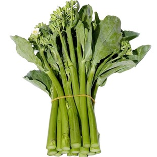 广东白花粗苔甜芥兰种籽秧苗蔬菜种四季粗条尖叶大肉芥蓝种子介兰