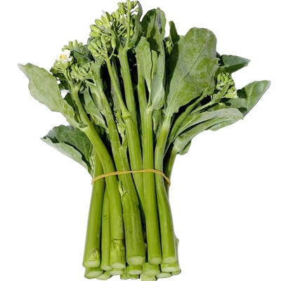 广东白花粗苔甜芥兰种籽秧苗蔬菜种四季粗条尖叶大肉芥蓝种子介兰