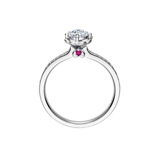 DRBELIEVE雪心印记简奢款求婚钻戒女群镶结婚钻石戒指铂金WJ0117